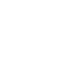 DEO PIES
