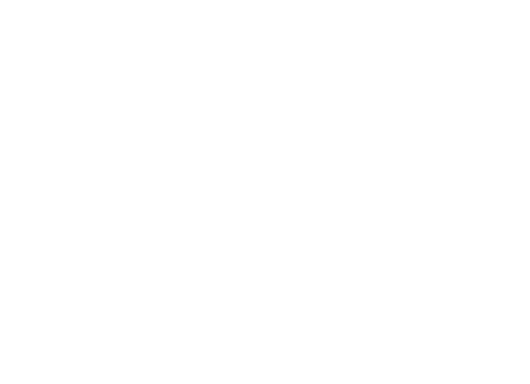 THE PINK STUFF